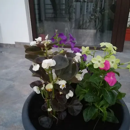 Blanc Villa Costinești