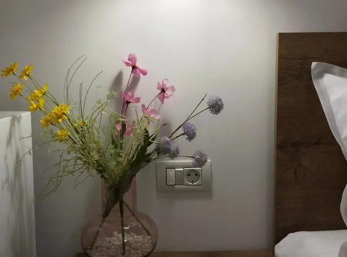 Blanc 别墅 科斯蒂内什蒂