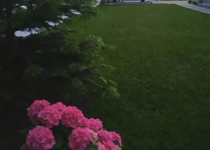 Blanc 别墅 科斯蒂内什蒂